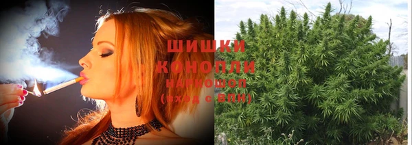 ешки Алзамай